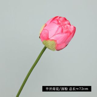 Bông sen các loại