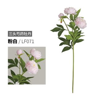 Mẫu đơn 3 bông lớn cao cấp