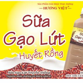 Sữa Gạo Lứt huyết rồng - Hương Việt giá sỉ
