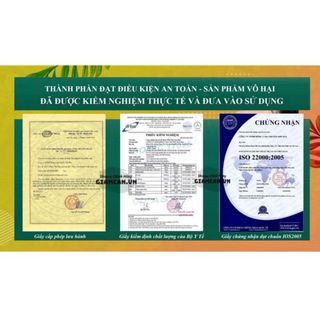 Thảo Mộc Sổ Mỡ - Gia Truyền