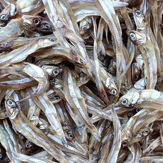 Cá Cơm Khô (hay còn gọi là cá trỏng, cá chỏng, cá ruội) loại nguyên đầu, Cá biển Nghệ An - Size 1kg giá sỉ