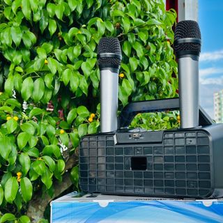 Loa Xách Tay T902 - Loa Xách Tay Di Động Âm Thanh Cực Hay Giá Rẻ Nhất 2024, Đi Kèm Micro Xịn Sạc Pin Trực Tiếp, Hát Karaoke Mọi Lúc Mọi Nơi