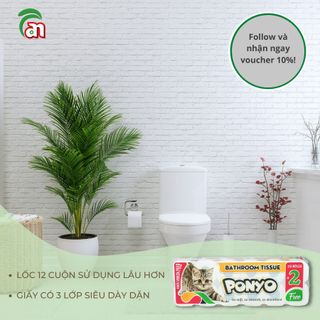 Giấy vệ sinh cuộn nhỏ có lõi thấm hút tốt PONYO 3 lớp cao cấp 12 cuộn/lốc Con Mèo - Thiên An Nam paper