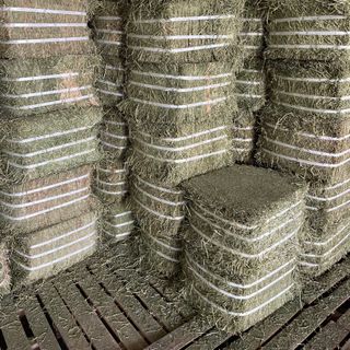 Cỏ khô Alfalfa dạng bánh