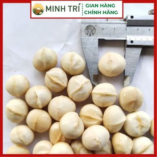 Nhân Hạt Macca - Túi 500g giá sỉ