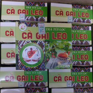 Trà Túi Lọc Cà Gai Leo