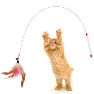 Cần Câu Mèo Dây Thép Có Chuông và Gắn Lông Vũ - Đồ Chơi Cho Mèo