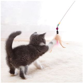 Cần Câu Mèo Dây Thép Có Chuông và Gắn Lông Vũ - Đồ Chơi Cho Mèo