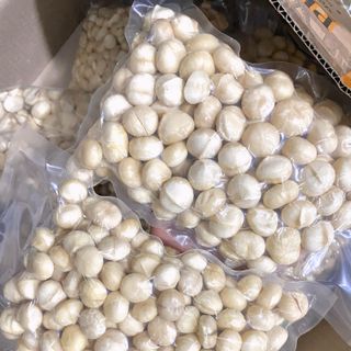Nhân Hạt Macca - Túi 500g