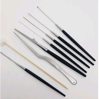 Bộ lấy ráy tai Inox Thanh Sơn 8 cây