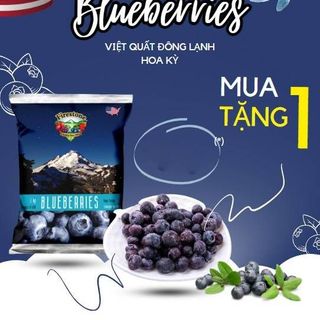 VIỆT QUẤT TƯƠI ĐÔNG LẠNH IQF
