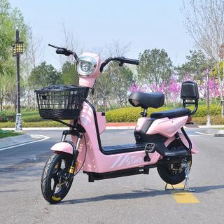 Xe Đạp Điện TP-02 Sỉ Giá tốt nhất thị trường