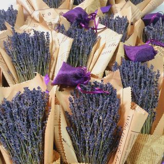 Bó 100 cành Hoa khô Lavender nhập khẩu đẹp làm quà tặng