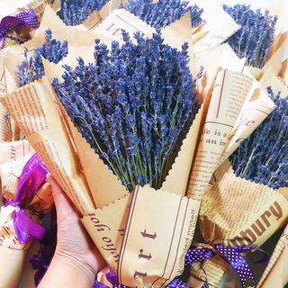 Bó 100 cành Hoa khô Lavender nhập khẩu đẹp làm quà tặng