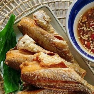 Cá đù 1nắng