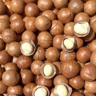 HẠT MACCA BÙI BÉO DINH DƯỠNG, NỮ HOÀNG TRONG CÁC LOẠI HẠT 500G - WINNIE HOUSE