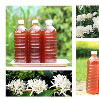 Mật ong hoa cà phê đak lak