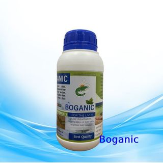 Boganic – Cao thảo dược bổ gan, giải độc giúp gan khoẻ đẹp, tôm cá phát triển tốt giá sỉ