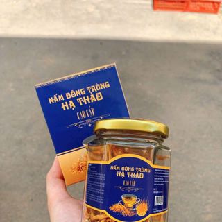 NẤM ĐÔNG TRÙNG HẠ THẢO