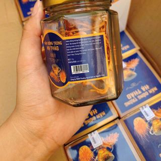 NẤM ĐÔNG TRÙNG HẠ THẢO