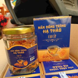 NẤM ĐÔNG TRÙNG HẠ THẢO