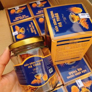 NẤM ĐÔNG TRÙNG HẠ THẢO
