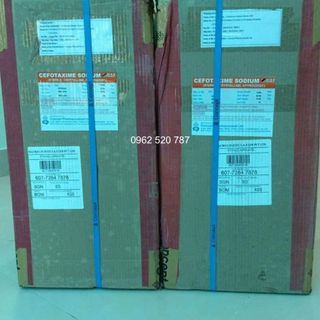 Cefotaxime Concept Ấn Độ kiện 10kg dùng trong thú y, thủy sản