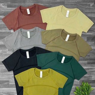 Áo mitao ngắn gân Đủ màu size ml mới nhất 2023 Thể Thao cao cấp Siêu Đẹp Giá Sỉ,
