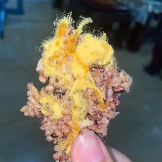 Cơm cháy chà bông