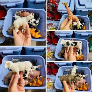 Thùng con vật