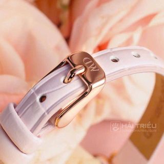 ĐỒNG HỒ DA NỮ CAO CẤP D.W HỒNG CN