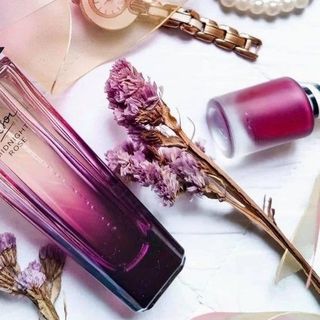 Nước hoa midnight rose 75ml
