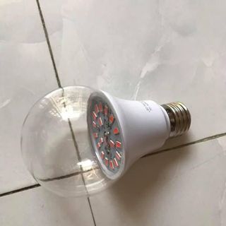 led màu hồng chuyên dụng cho thanh long