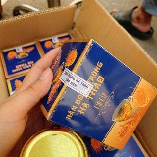 Nấm Đông Trùng Hạ Thảo Cao Cấp Tốt Cho Sức Khoẻ