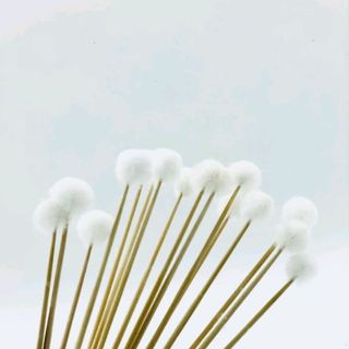 [COMBO] 10 Cây se tai lông vịt - Size vừa.