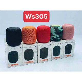 LOA BLUETOOTH WS305