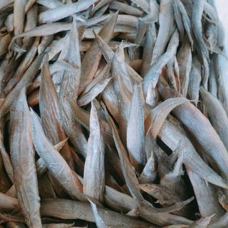 Khô cá chạch dồng