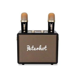 LOA KARAOKE BLUETOOTH PETERHOT A107W