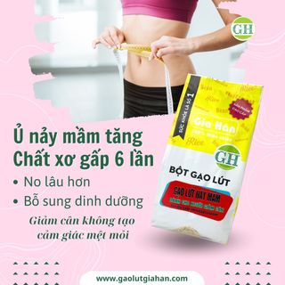 Bột gạo lứt nảy mầm , bột gạo lứt giảm cân, giảm mỡ bụng GIAHAN FOOD [500G] làm từ gạo lứt huyết rồng,bột gạo lứt giảm cân an toàn tại nhà.