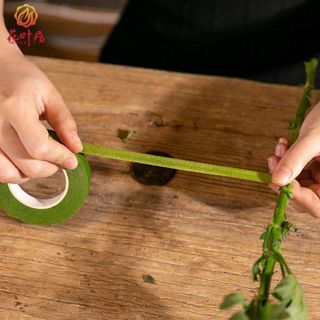 CUỘN KEO QUẤN THÂN CÂY