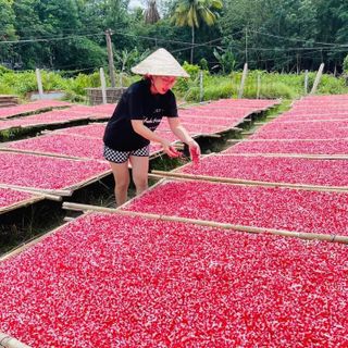 Hạt lựu khô hiệu Hồng Sơn