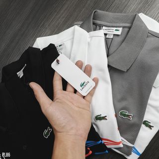 Áo thun polo nam chất cotton, áo phông cổ bẻ nam cao cấp, chất Cá sấu cotton 4 chiều - size từ 55kg - 85kg