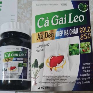 CÀ GAI LEO GIẢI ĐỘC GAN,TĂNG CƯỜNG CHỨC NĂNG GAN, GIẢM KHÓ TIÊU,MEN GAN CAO - BSC