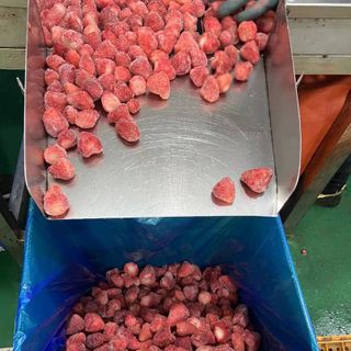 DÂU TÂY ĐÔNG LẠNH - NGUYÊN LIỆU LÀM SINH TỐ/ MỨT/ BÁNH