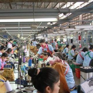 Gambol Thái Lan tìm nhà phân phối tại Việt Nam