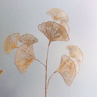 Cành Rẻ Quạt