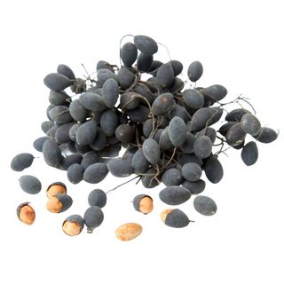 Tìm Sỉ Cho Say Nhung Lắc Muối Ớt Hũ 300G