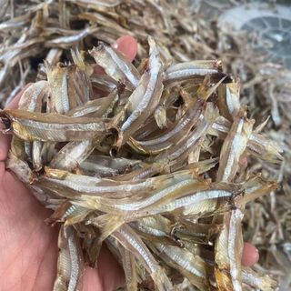 Cá cơm trỏng to bẻ đầu - cá biển Nghệ An màu sáng đẹp, dùng kho rim mặn ngọt - size 1kg