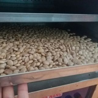 Nhân trắng Sachi, Vua các loại hạt sấy giòn nguyên vị