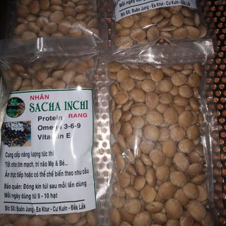 Hạt Sachi sấy giòn, Hạt Sachi, nhân hạt Sachi giá sỉ Tuk Green